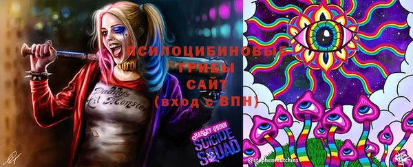 твердый Белоозёрский